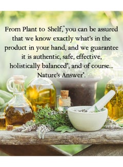 NATURE'S ANSWER Lobelia Inflata 1 FL Oz  - Image 4