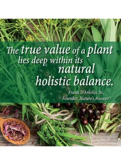 NATURE'S ANSWER Lobelia Inflata 1 FL Oz  - Image 5
