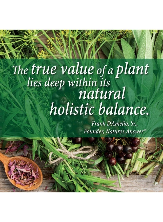 NATURE'S ANSWER Black Walnut & Wormwood Fluid Extract 1 Fl Oz  - Image 3