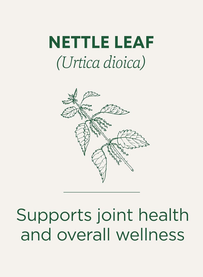 Traditional Medicinals Pack Of 16 Organic Nettle Leaf Herbal Tea Bag  - Image 2