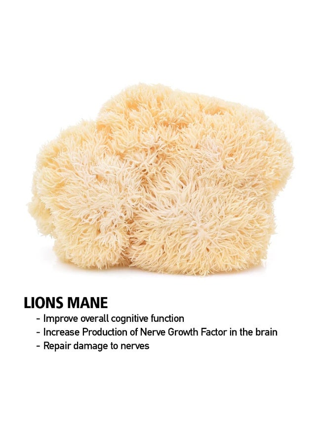 Four Sigmatic Focus, Organic Coffee with Lion's Mane & Chaga Mushrooms, Ground, 10 oz 340grams - Image 4