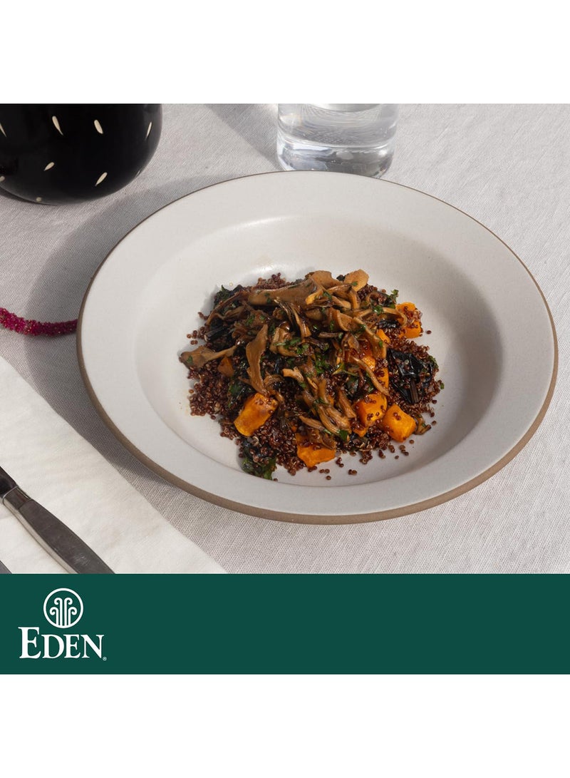 Eden Foods Umeboshi Paste, Pickled Ume Plum Puree 200G 200grams - Image 4