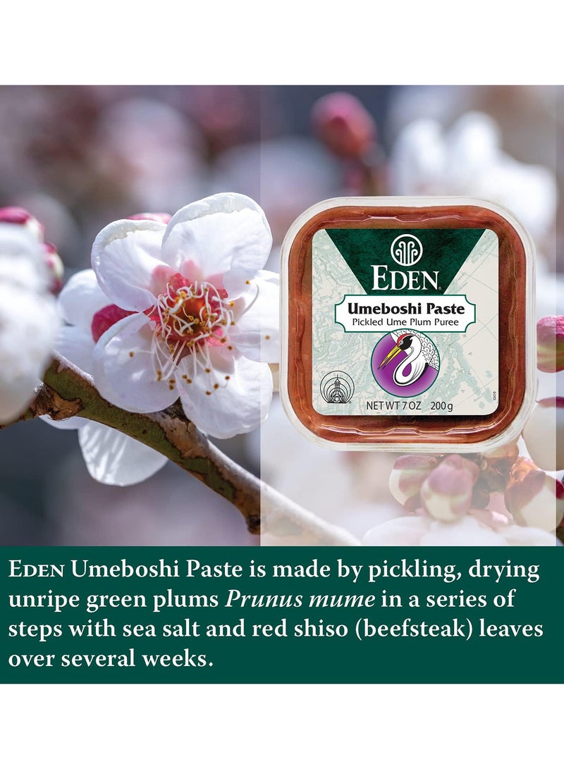 Eden Foods Umeboshi Paste, Pickled Ume Plum Puree 200G 200grams - Image 3