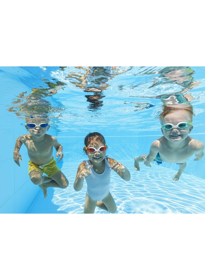 Accelera Goggles 4.3x18.5x15cm