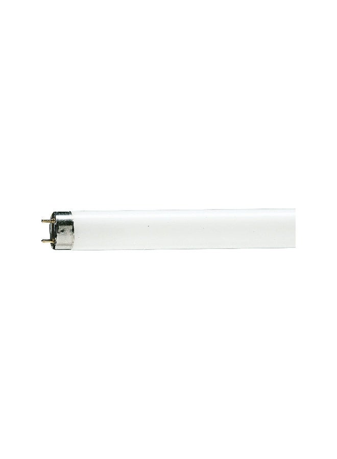 Philips - 2Ft Tube Light-D 18W G13 Medium Bi-Pin Fluorescent Cool Daylight 1 Year Warranty Pack May Vary White 25cm - Image 1