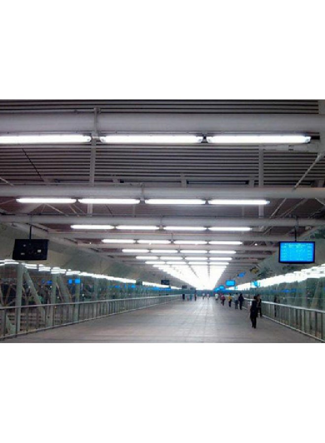 Philips 2Ft Tube Light-D 18W G13 Medium Bi-Pin Fluorescent Cool Daylight 1 Year Warranty Pack May Vary White 25cm - Image 4