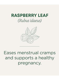 Traditional Medicinals Organic Raspberry Leaf, Ideal for Menstrual Cramp and Pregnancy Support, Caffeine Free, 16 Tea Bags  - Image 2