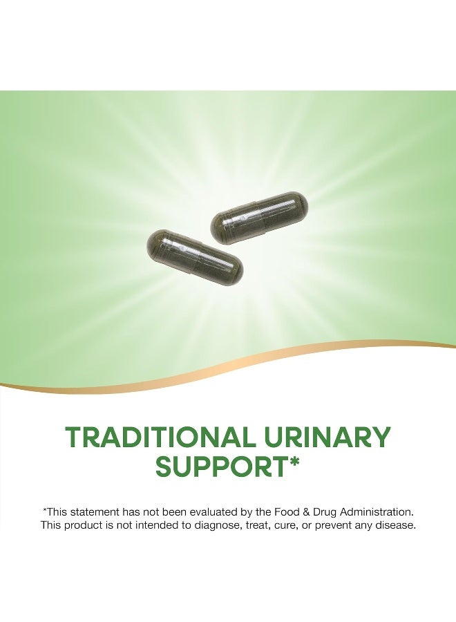 Nature's Way Nettle Leaf, 870 mg - 100 Vegan Capsules Packaging May Vary - Image 1