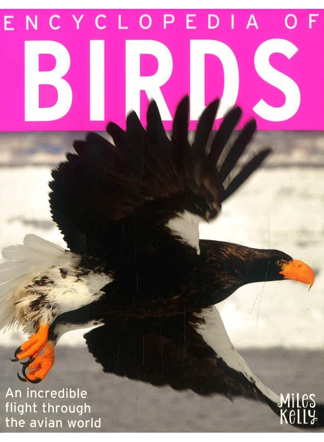 Encyclopedia Of Birds: An Incredible Flight Through The Avian World Paperback English by Jinny Johnson - 06 June 2019 - Image 1