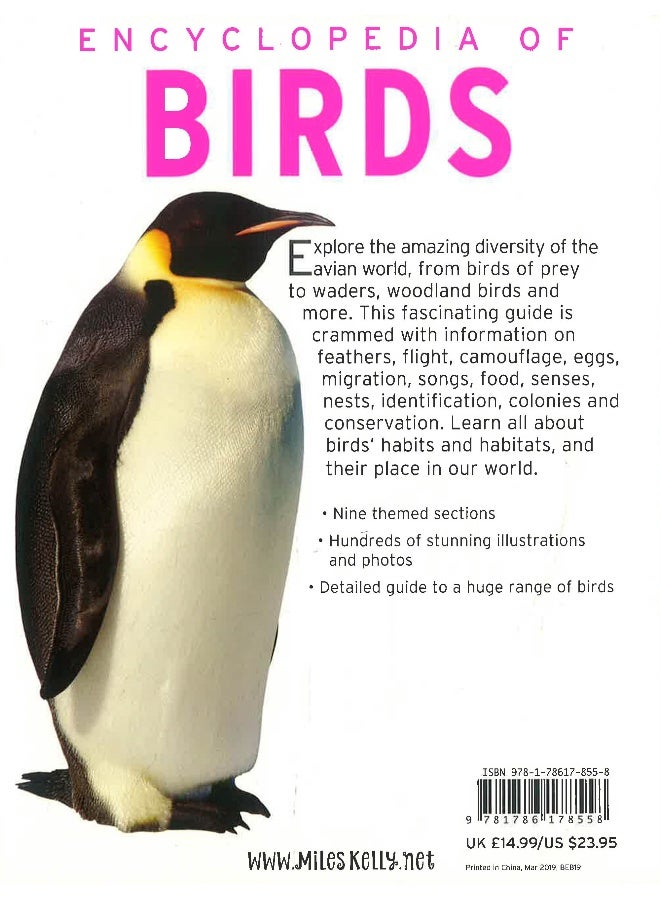 Encyclopedia Of Birds: An Incredible Flight Through The Avian World Paperback English by Jinny Johnson - 06 June 2019 - Image 2