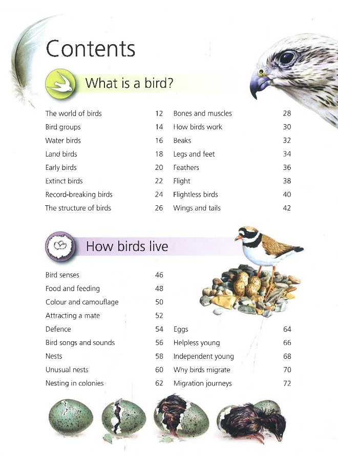 Encyclopedia Of Birds: An Incredible Flight Through The Avian World Paperback English by Jinny Johnson - 06 June 2019 - Image 3