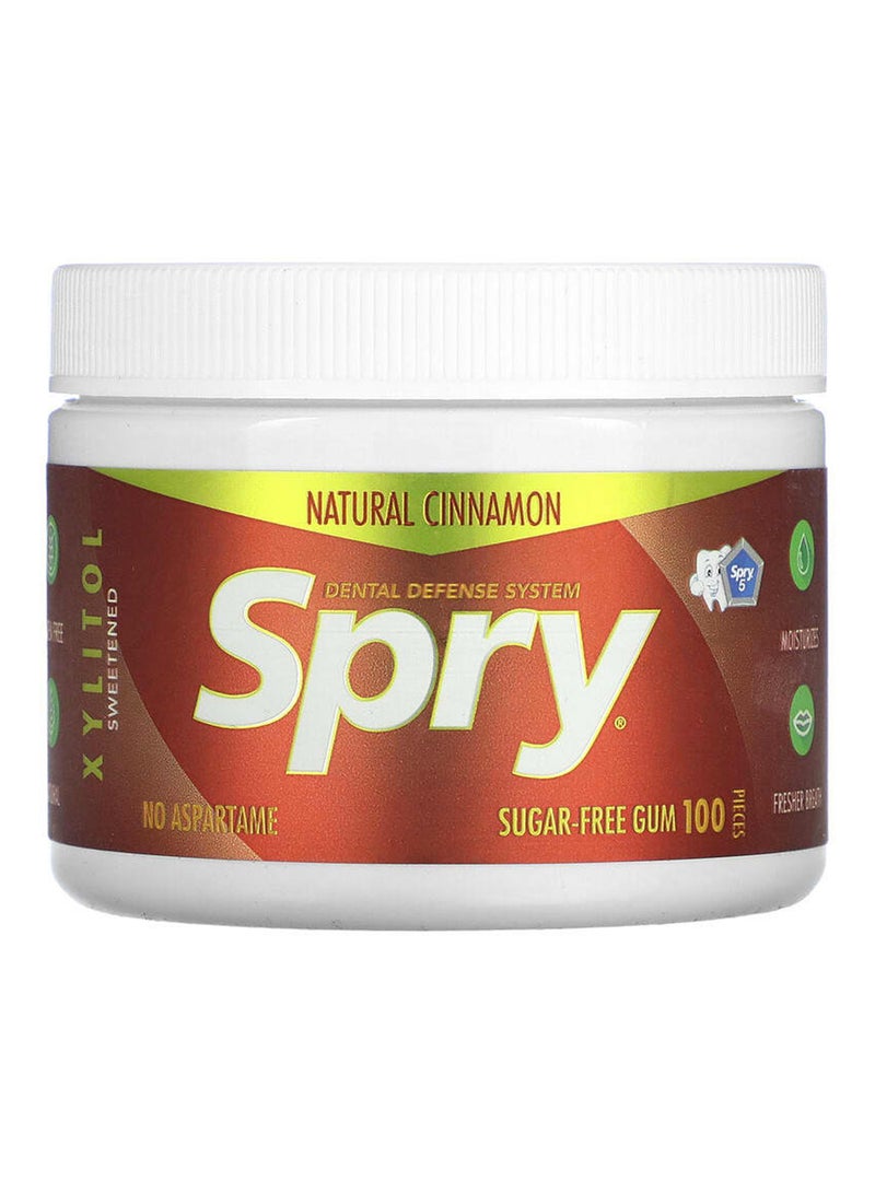 Xlear Spry Natural Cinnamon Dental Defense System Sugar Free Gum 100 Pieces 108grams - Image 1