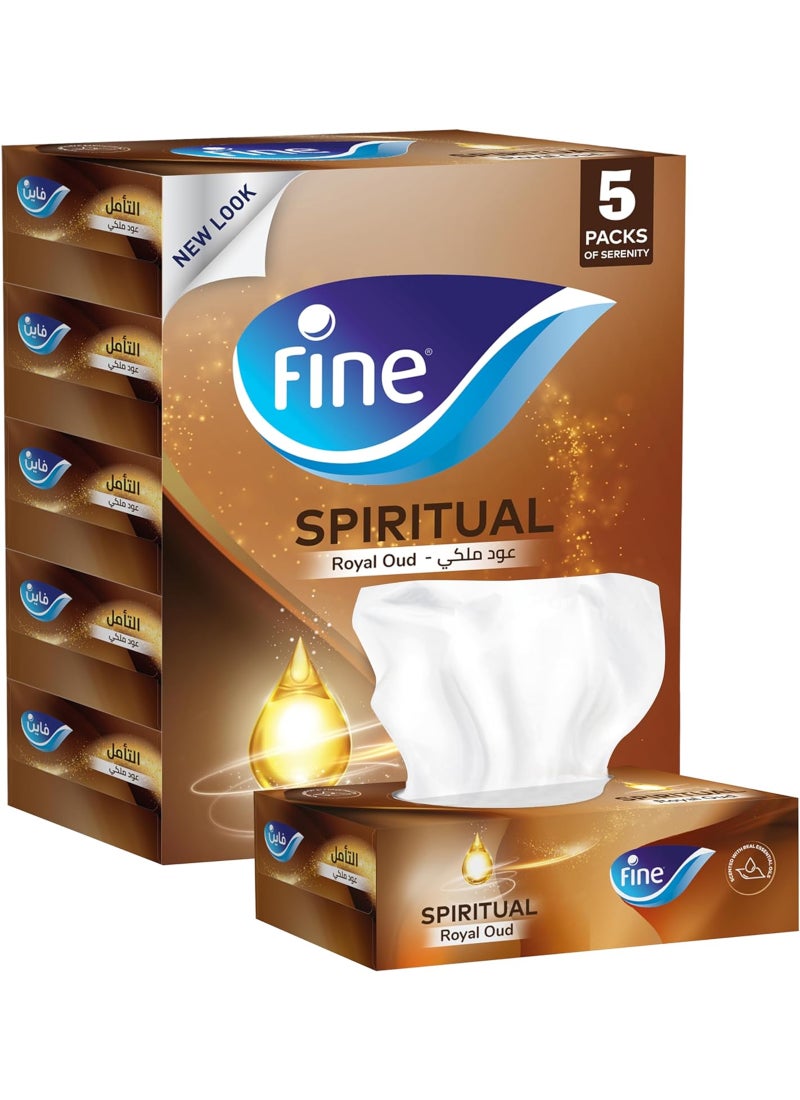 فاين مناديل وجه معقمة طبقتين 120 منديل، عبوة من 5 قطع - Image 1