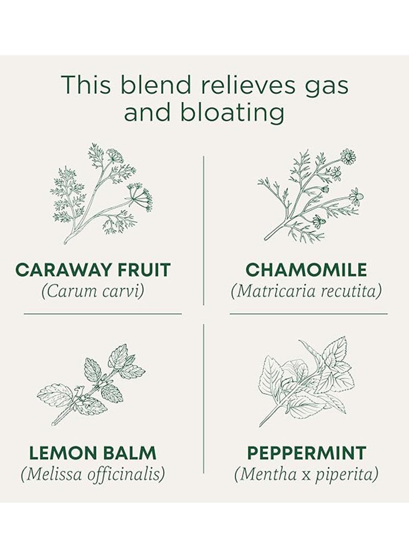 Traditional Medicinals - Organic Gas Relief, Chamomile Mint, Caffeine Free, 16 Tea Bags - Image 1