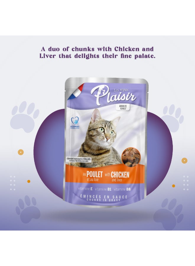Plaisir - Chunks In Gravy Wet Cat Food Assorted Pack Of 12 100grams - Image 1