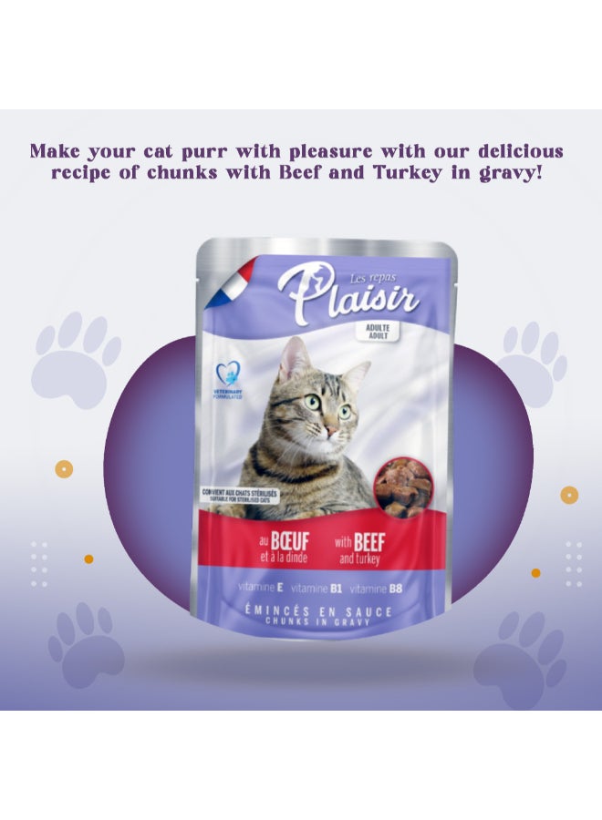 Plaisir - Chunks In Gravy Wet Cat Food Assorted Pack Of 12 100grams - Image 1