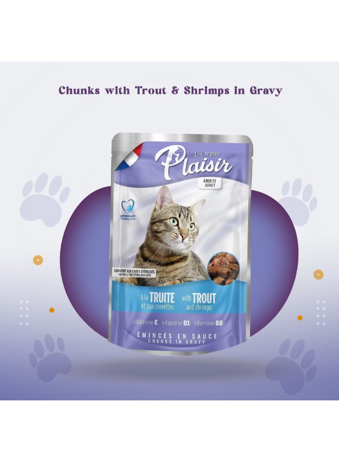 Plaisir - Chunks In Gravy Wet Cat Food Assorted Pack Of 12 100grams - Image 1
