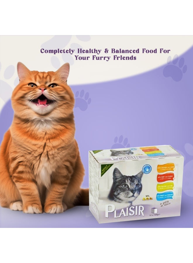 Plaisir - Chunks In Gravy Wet Cat Food Assorted Pack Of 12 100grams - Image 1