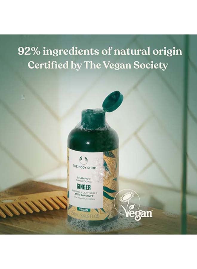 THE BODY SHOP Ginger Anti Dandruff Shampoo – Refreshing Scalp Treatment with Ginger & Birch Bark Extract | Soothes Itchy Scalp, Reduces Dandruff, Strengthens Hair | Adds Moisture, Volume & Promotes Hair Growth | Dermatologically Tested 250ml - Image 4