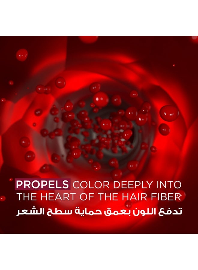 غارنييه - مسحوق صبغة شعر أوليا الدائمة الخالية من الأمونيا 6.0 بني فاتح - Image 1
