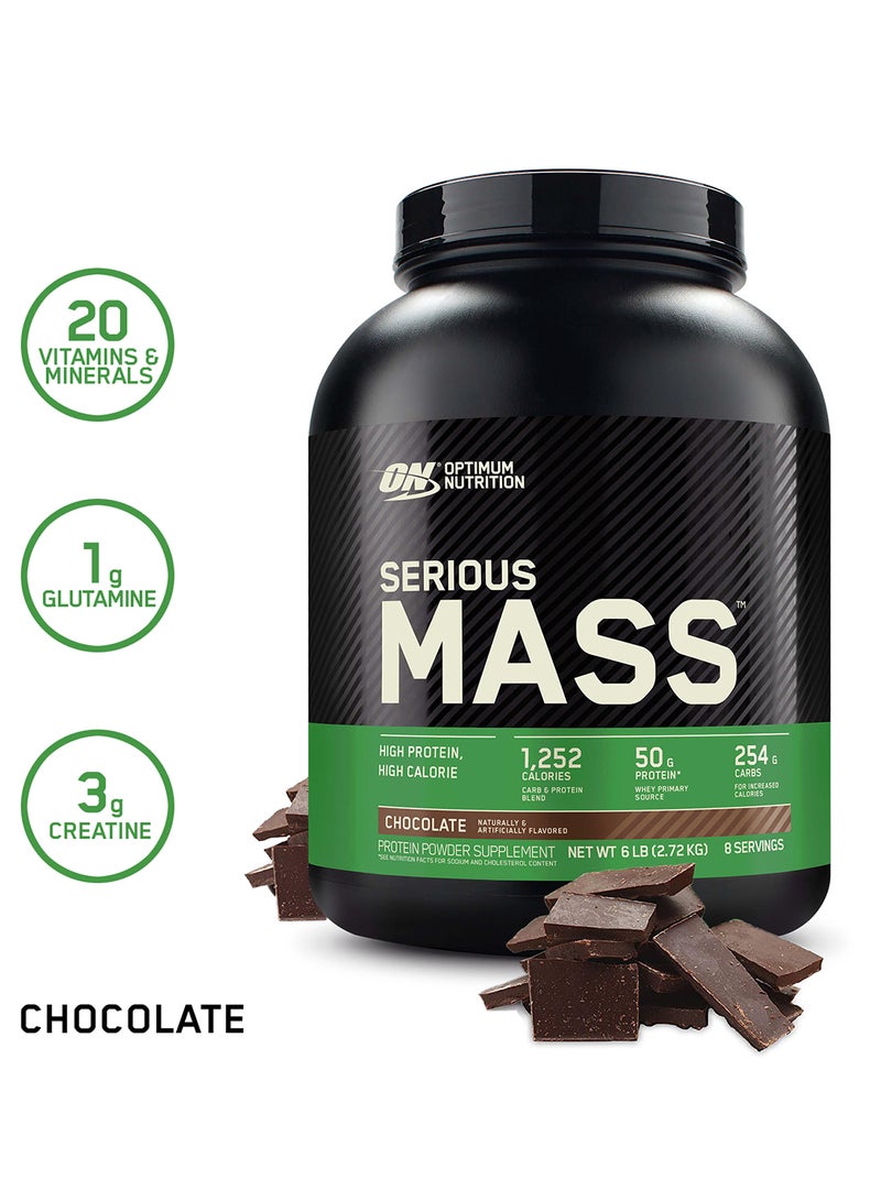 High Protein Muscle Building And Weight Gainer Protein Powder Chocolate 6 Lbs 2.72 Kg - pnsku/N38610032A/45/_/1741607990/191a8ac0-6618-4a4f-b5bc-d427d78e1001