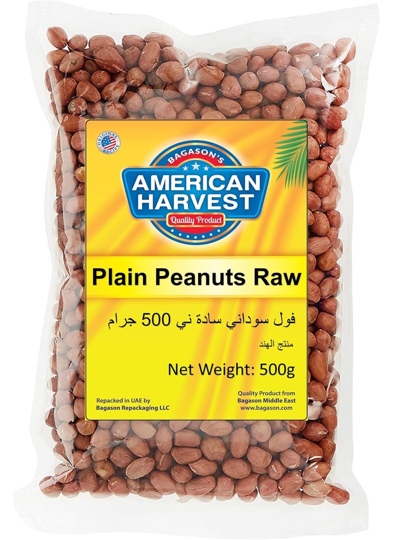 American Harvest Raw Peanuts 500grams  - Image 1