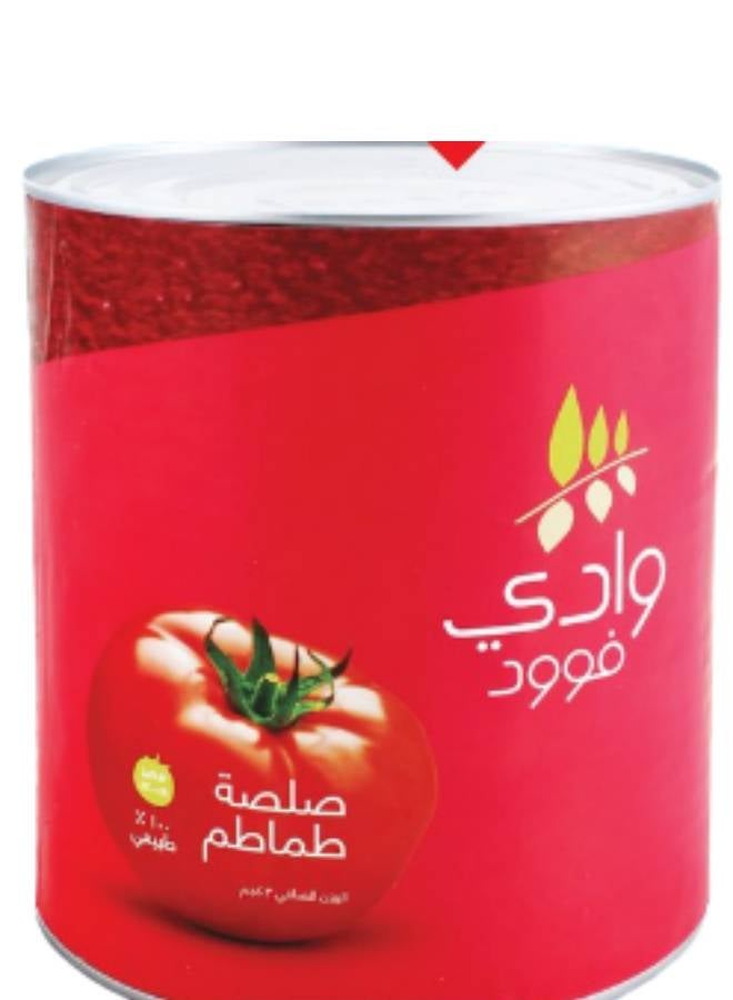 سعر ومواصفات وادي فوود علبة معجون الطماطم 3كيلوجرام (N38961002A) على Noon EG