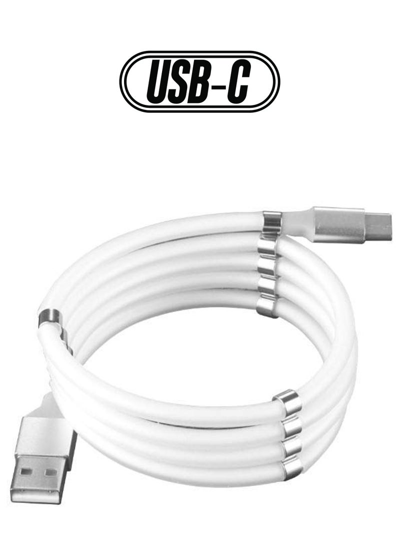 كابل شحن ومزامنة بيانات مغناطيسيّ من USB إلى Type-C أبيض/فضي - Image 1