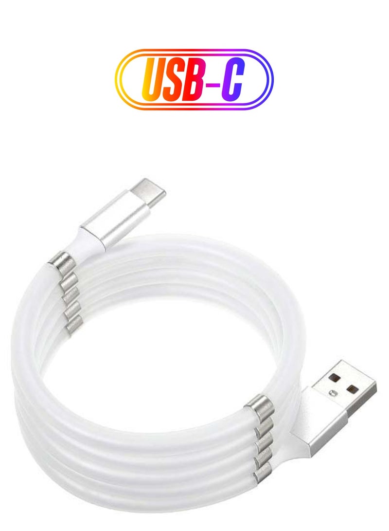 كابل شحن ومزامنة بيانات مغناطيسي من USB إلى طراز C أبيض/فضي - Image 1