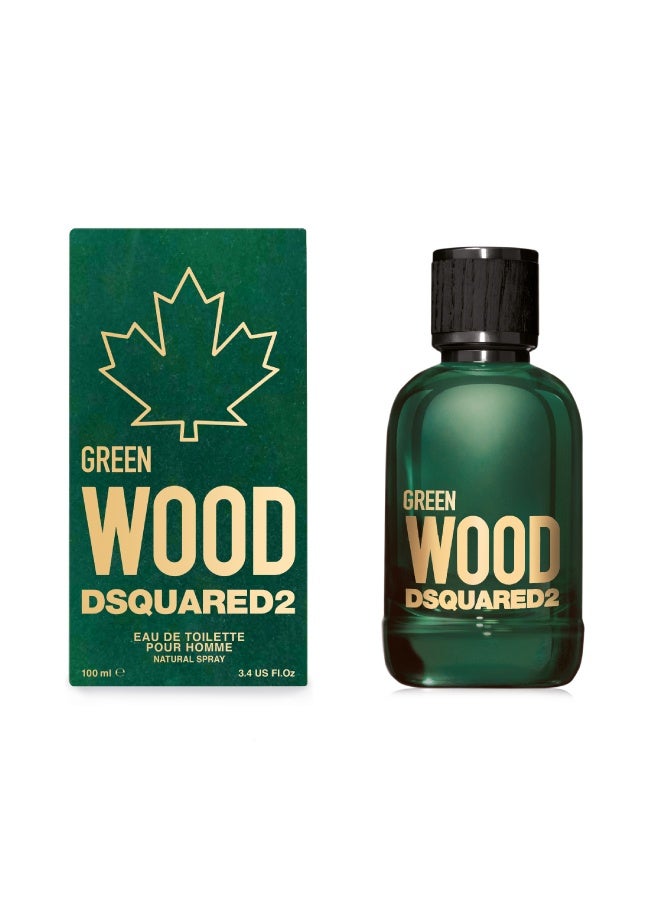 DSQUARED2 Wood Green Pour Homme EDT Spray 100ml - Image 1