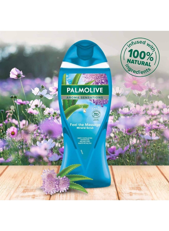 Palmolive Shower Gel Aroma Sensations Feel The Massage 500+250ml Pack of 2 750ml - Image 2
