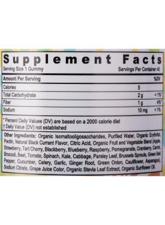 SUNSHINE NUTRITION Cool Gummies Kids Gummy Blackcurrant Flavour Pectin Base Infused With Fruit Vegetable And Fiber Dietary Supplement Vegetarian 90 Gummies  - Image 4