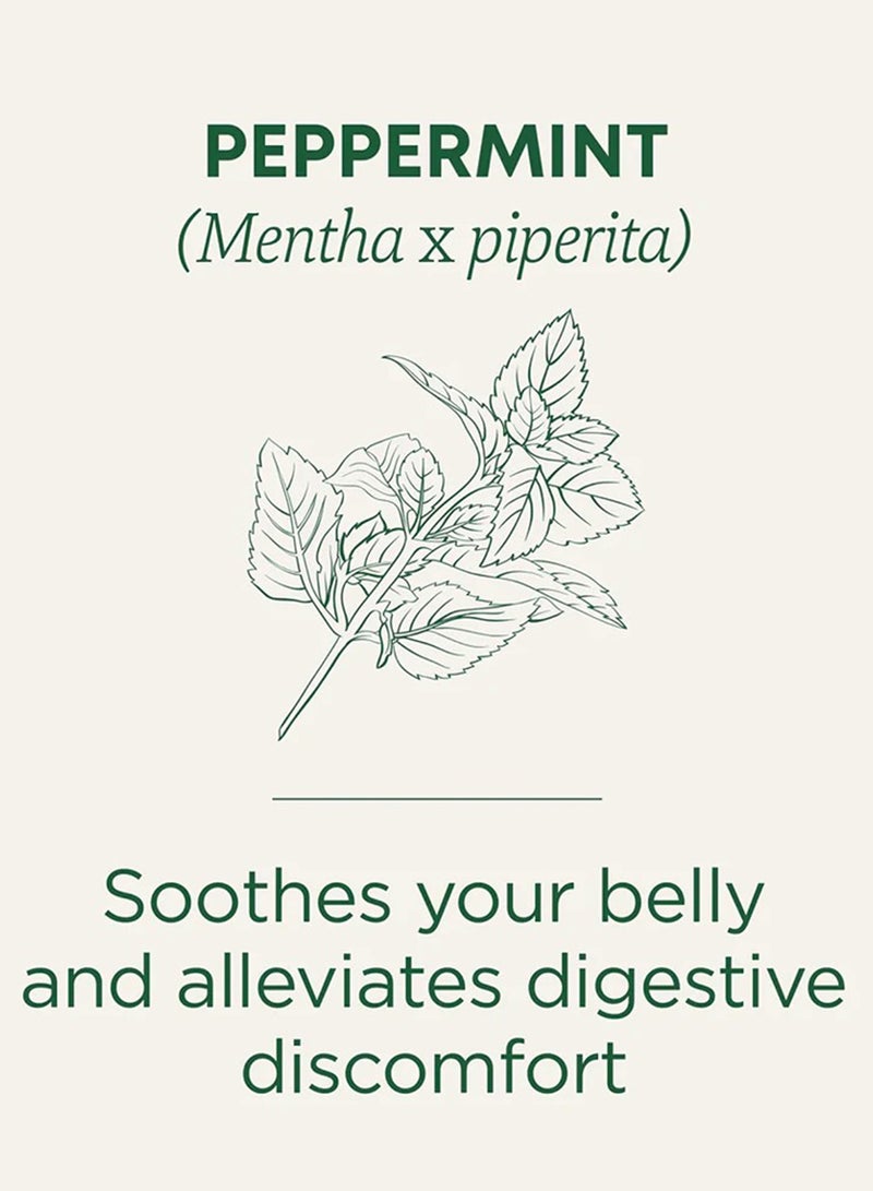 Traditional Medicinals Organic Peppermint, Effectively Soothes the Belly, Caffeine Free, 16 Tea Bags 24grams Pack of 16  - Image 2