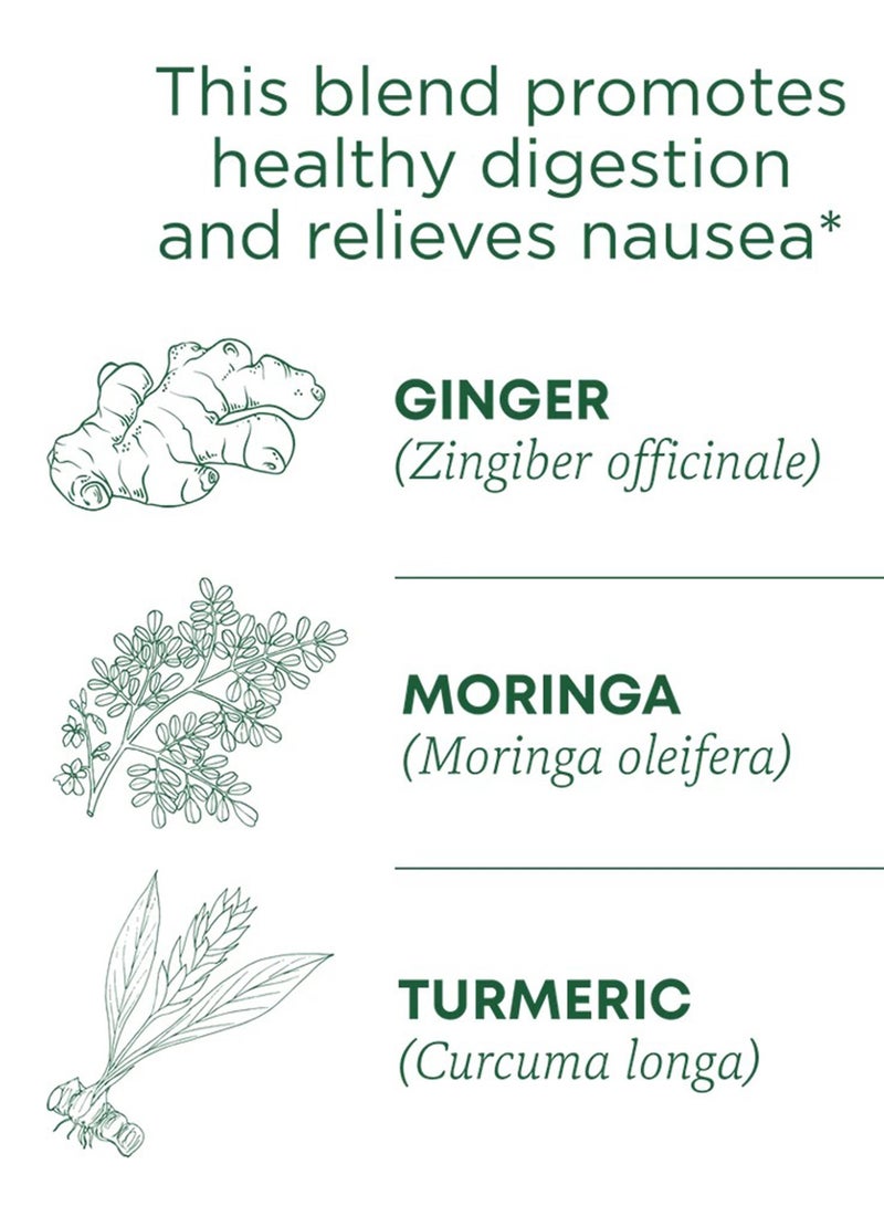 Traditional Medicinals Organic Ginger Aid, Promotes Healthy Digestion & Relieves Nausea, Caffeine Free, 16 Tea Bags  - Image 2
