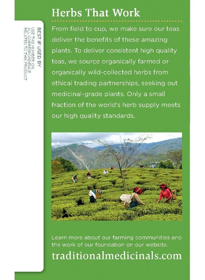 Traditional Medicinals Organic Green Tea Infused With Ginger Caffeine Free 16 Tea Bags  - Image 3
