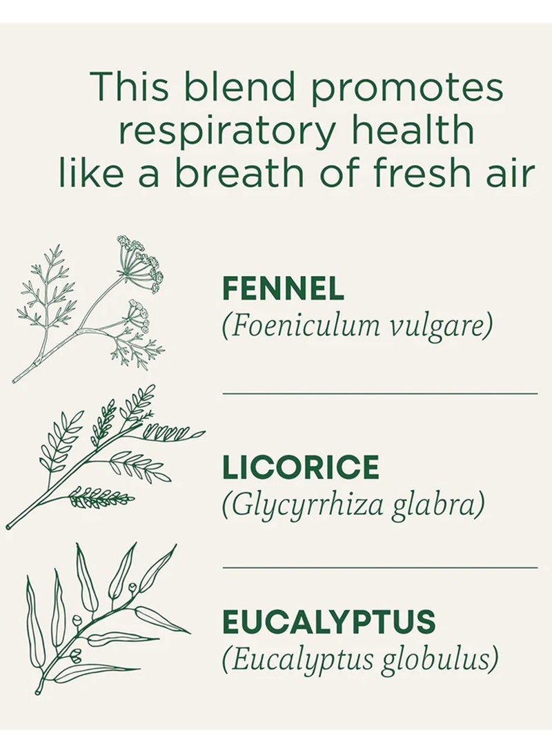 Traditional Medicinals Breathe Easy, Promotes Respiratory Health, Caffeine Free, 16 Tea Bags  - Image 2