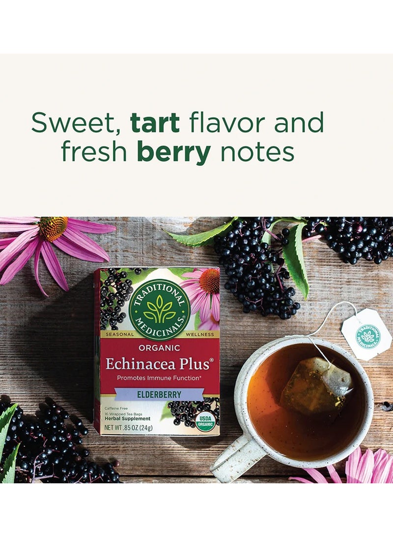 Traditional Medicinals Organic Echinacea Plus, Infused with Elderberry, Promotes Immune Function, Caffeine Free, 16 Tea Bags  - Image 3