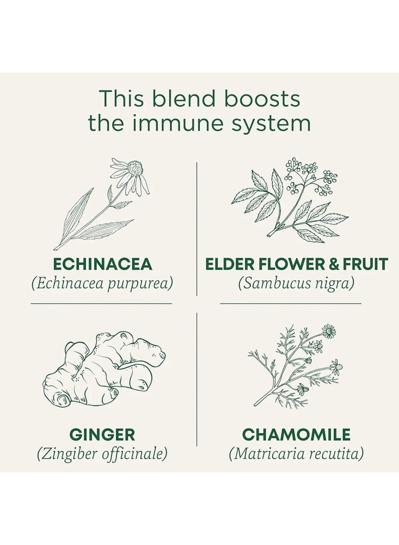 Traditional Medicinals Organic Echinacea Plus, Infused with Elderberry, Promotes Immune Function, Caffeine Free, 16 Tea Bags  - Image 2