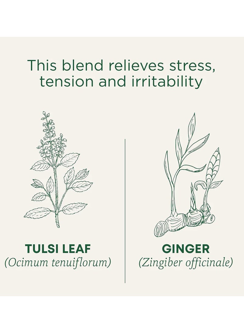 Traditional Medicinals Organic Tulsi and Ginger, Supports Stress Response, Caffeine Free, 16 Tea Bags  - Image 2