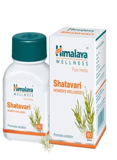 Shatavari, Supports Women's Health, Promotes Healthy Lactation, Herbal 60 Veggie Capsules