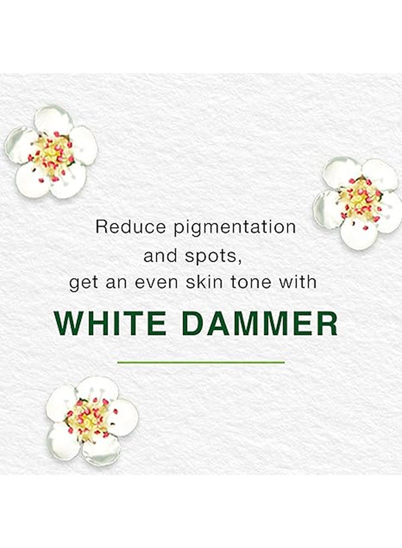 هيمالايا غسول الوجه لتفتيح البشرة، عبوة من قطعتين - Image 3