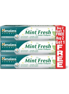 Mint Fresh Herbal Toothpaste 100ml Pack of 3