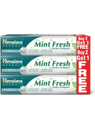 Mint Fresh Herbal Toothpaste 100ml Pack of 3 - pnsku/N40000062A/45/_/1740047198/0c1485df-2add-49fb-b55d-97816507b402