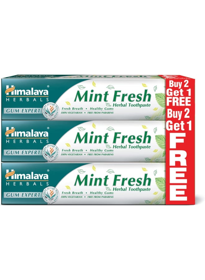 هيمالايا معجون الأسنان بأعشاب النعناع الطازج 100ml Pack of 3  - Image 1