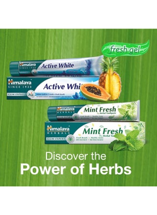Mint Fresh Herbal Toothpaste 100ml Pack of 3 - view 5