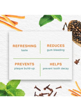 Mint Fresh Herbal Toothpaste 100ml Pack of 3 - view 4