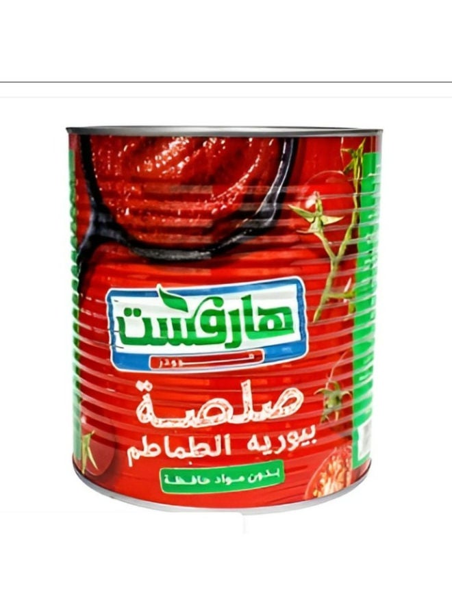 سعر ومواصفات هارفيست صلصة معجون الطماطم 2800جرام (N40074702A) على Noon EG