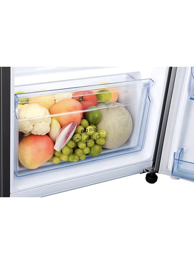Samsung 528 Liters Net Capacity, Top Mount Double Door Refrigerator Freezer With Twin Cooling Plus (RT53K6000S8) Stainless Steel RT75K6000S8 Silver  - Image 5