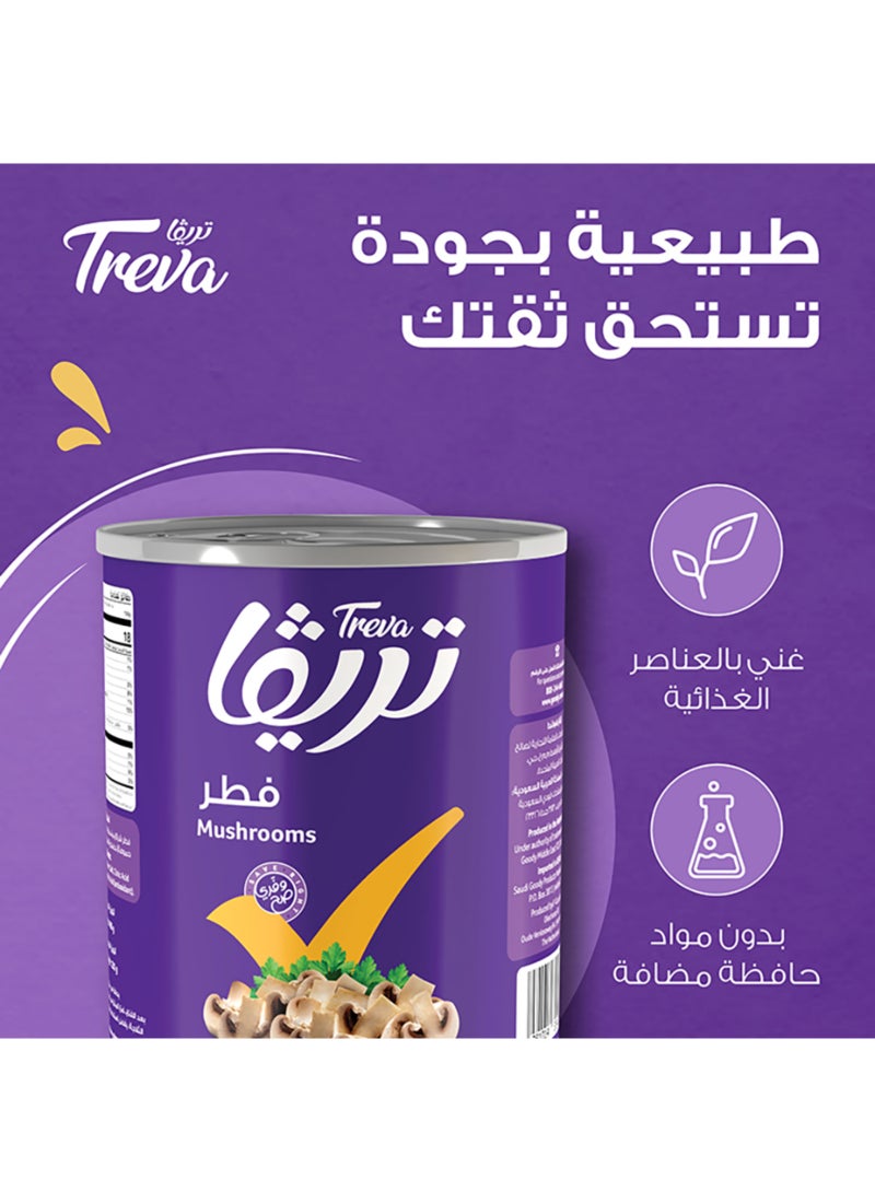 تريفا سيقان وقطع الفطر 400جرام - Image 3