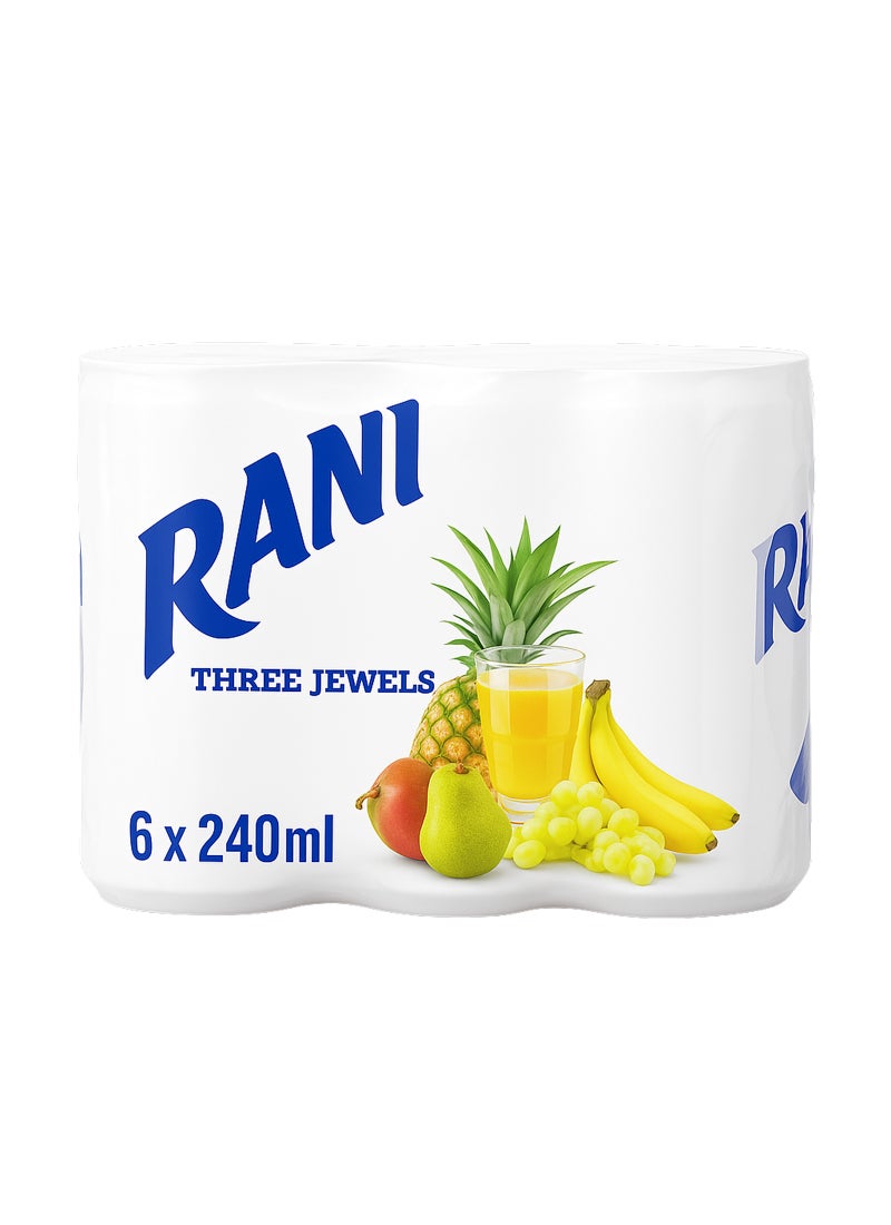 راني عصير كوكتيل من 3 فواكه طازجة 240ملليلتر عبوة من 6 قطع - Image 1